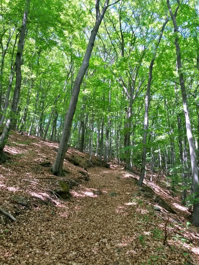 lh6.googleusercontent.com_-bag9tdhjlry_u2zrjo2xfai_aaaaaaaaxdk_5hvhlubter8_w650-h866-no_20140504_123430_richtone_2528hdr_2529.jpg lh6.googleusercontent.com_-bag9tdhjlry_u2zrjo2xfai_aaaaaaaaxdk_5hvhlubter8_w650-h866-no_20140504_123430_richtone_2528hdr_2529.jpg