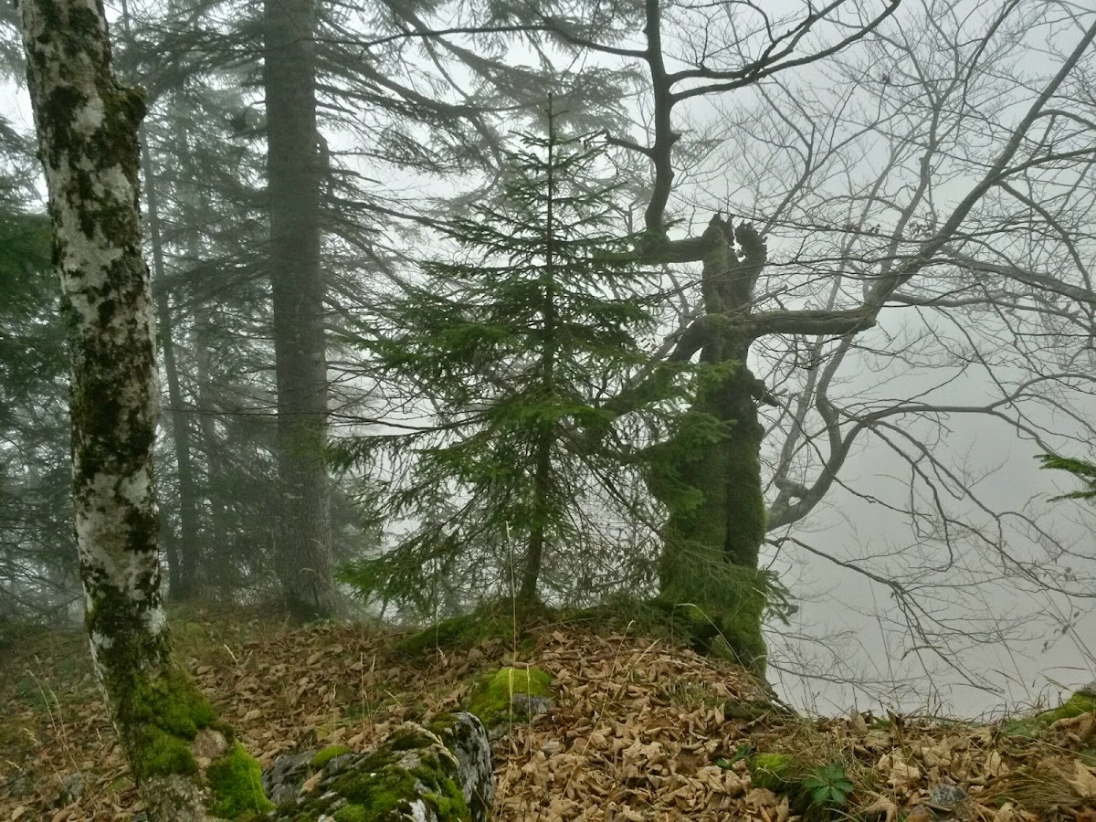 lh3.googleusercontent.com_-rt_jfzhbbd0_vhsboj8p34i_aaaaaaaafuu_vbm0b9dp-v4_w1200-h900-no_20141125_142245_richtone_28hdr_29.jpg lh3.googleusercontent.com_-rt_jfzhbbd0_vhsboj8p34i_aaaaaaaafuu_vbm0b9dp-v4_w1200-h900-no_20141125_142245_richtone_28hdr_29.jpg