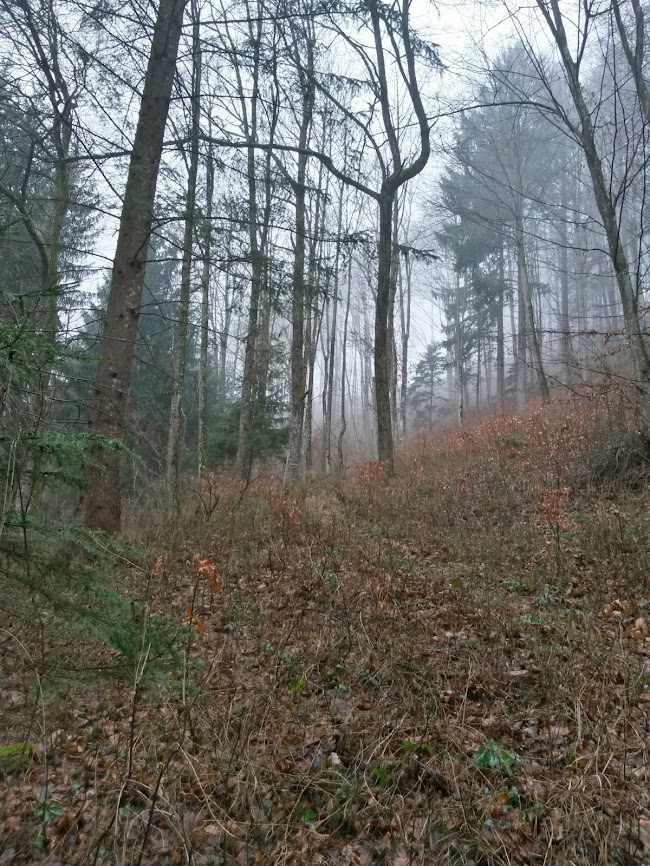 lh5.googleusercontent.com_-hk1hf1ujimk_usluqo4iyki_aaaaaaaauo8_u5x0uygrg5c_w650-h866-no_20131231_102444_richtone_2528hdr_2529.jpg lh5.googleusercontent.com_-hk1hf1ujimk_usluqo4iyki_aaaaaaaauo8_u5x0uygrg5c_w650-h866-no_20131231_102444_richtone_2528hdr_2529.jpg