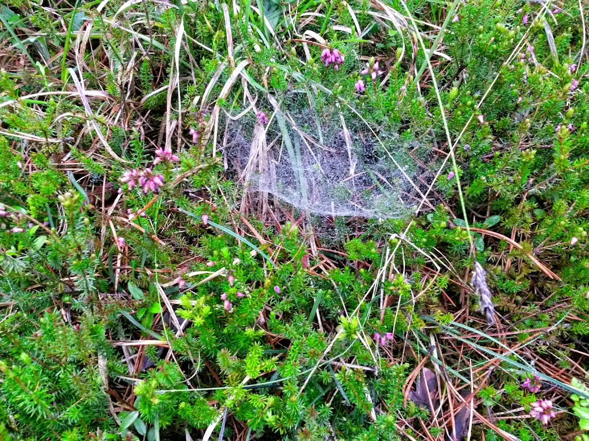 lh5.googleusercontent.com_-uiol6xysxxs_u1u8eipobbi_aaaaaaaaxii_g-g07s758wk_w1155-h866-no_20140426_103400_richtone_2528hdr_2529.jpg lh5.googleusercontent.com_-uiol6xysxxs_u1u8eipobbi_aaaaaaaaxii_g-g07s758wk_w1155-h866-no_20140426_103400_richtone_2528hdr_2529.jpg