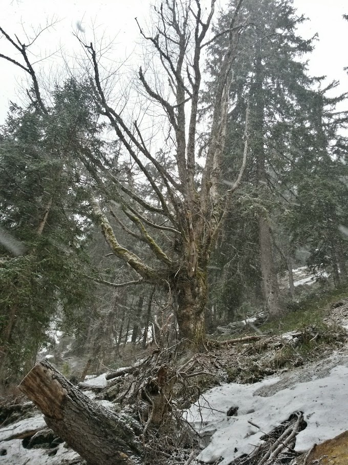 lh4.googleusercontent.com_-cmr8qs2ak00_vtkvnmbxopi_aaaaaaaaiiu_iz28xaewbiu_w680-h907-no_20150418_123449_richtone_28hdr_29.jpg lh4.googleusercontent.com_-cmr8qs2ak00_vtkvnmbxopi_aaaaaaaaiiu_iz28xaewbiu_w680-h907-no_20150418_123449_richtone_28hdr_29.jpg