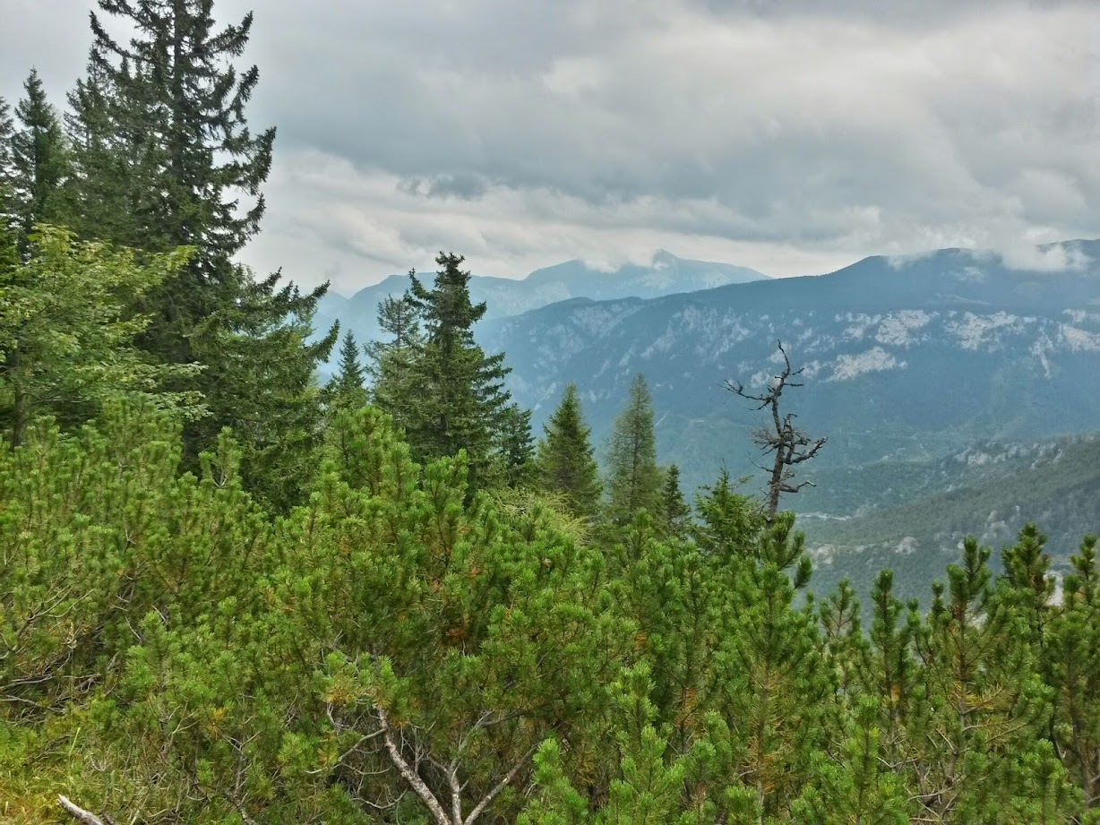 lh4.googleusercontent.com_-sdb9o3nvbtk_u_iuwel08gi_aaaaaaaaclm_lshfgozjdpm_w1228-h921-no_20140823_113649_richtone_28hdr_29.jpg lh4.googleusercontent.com_-sdb9o3nvbtk_u_iuwel08gi_aaaaaaaaclm_lshfgozjdpm_w1228-h921-no_20140823_113649_richtone_28hdr_29.jpg