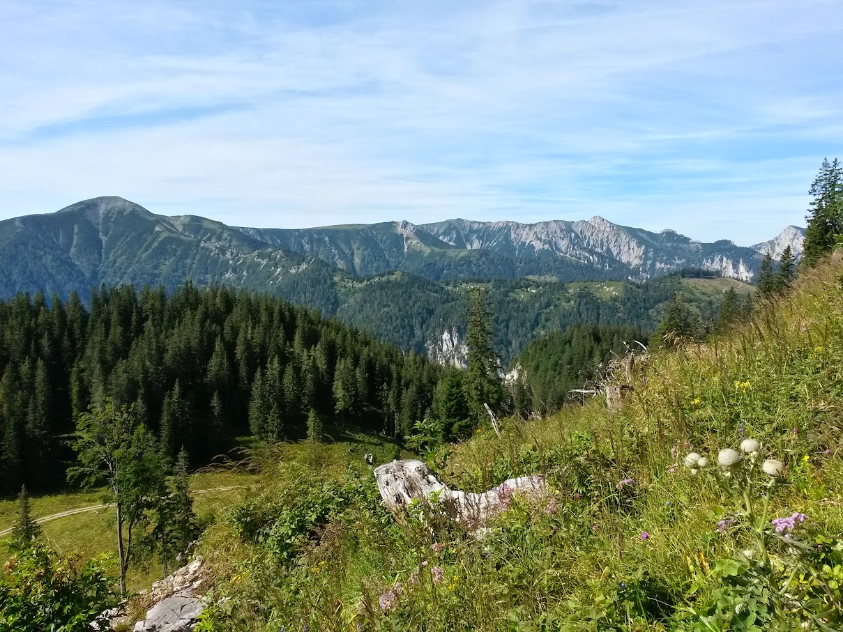 lh6.googleusercontent.com_-amkoohkcghe_vbze5chvjii_aaaaaaaam-u_ttjigznkqw4_w1209-h907-no_20150801_094058_richtone_2528hdr_2529.jpg lh6.googleusercontent.com_-amkoohkcghe_vbze5chvjii_aaaaaaaam-u_ttjigznkqw4_w1209-h907-no_20150801_094058_richtone_2528hdr_2529.jpg