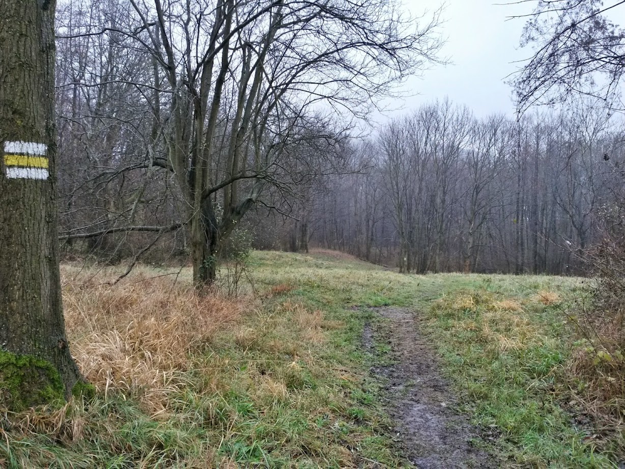 lh5.googleusercontent.com_-i6x06ynwjpw_vil4mkx-mpi_aaaaaaaafvy_reix1okc8sg_w1228-h921-no_20141206_114150_richtone_28hdr_29.jpg lh5.googleusercontent.com_-i6x06ynwjpw_vil4mkx-mpi_aaaaaaaafvy_reix1okc8sg_w1228-h921-no_20141206_114150_richtone_28hdr_29.jpg