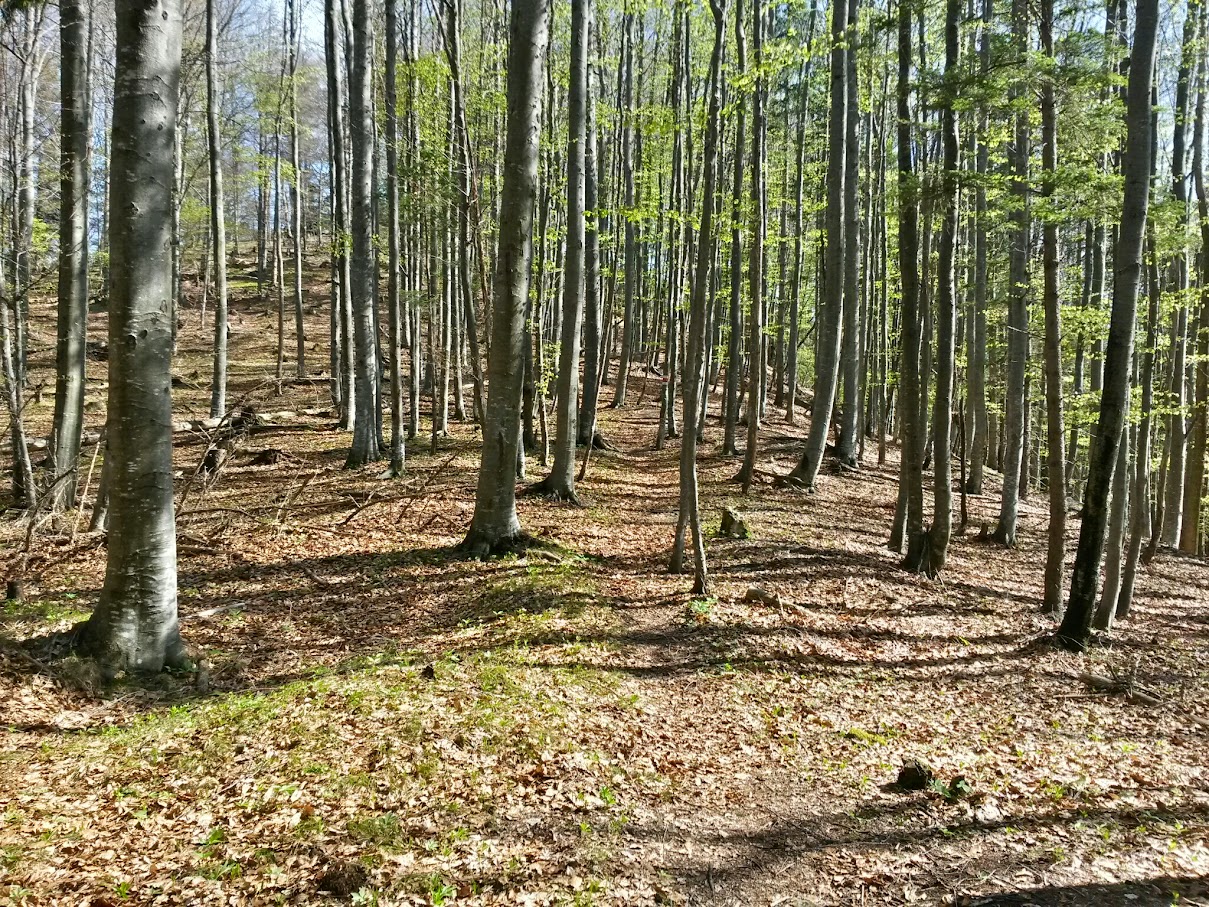 lh6.googleusercontent.com_-oevexlnfmdk_vtuloxecqji_aaaaaaaaioi_ykhlpxzhb4_w1209-h907-no_20150425_100931_richtone_28hdr_29.jpg lh6.googleusercontent.com_-oevexlnfmdk_vtuloxecqji_aaaaaaaaioi_ykhlpxzhb4_w1209-h907-no_20150425_100931_richtone_28hdr_29.jpg