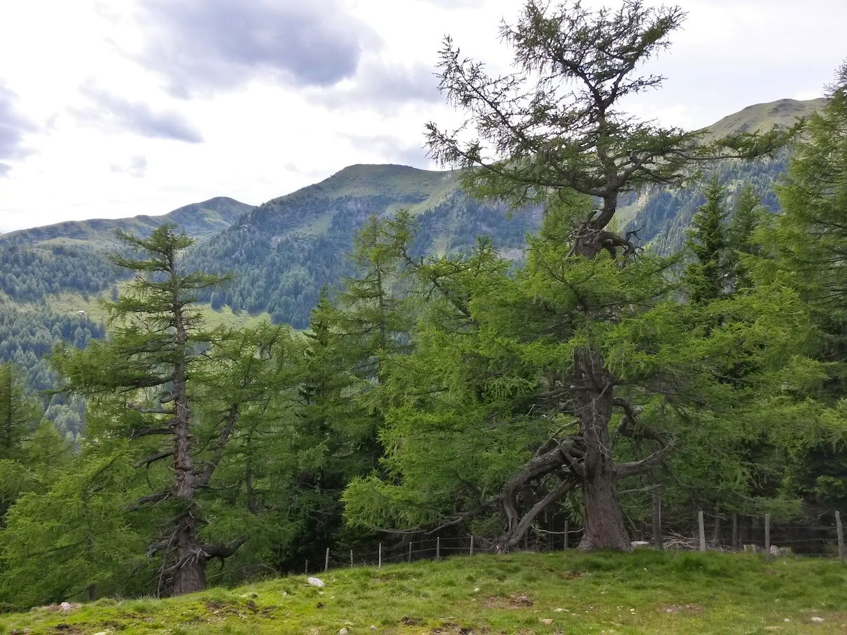 lh4.googleusercontent.com_-wchzv0b4zn4_vywkyezdfhi_aaaaaaaamt8_q3gxogm6itu_w1209-h907-no_20150625_155126_richtone_2528hdr_2529.jpg lh4.googleusercontent.com_-wchzv0b4zn4_vywkyezdfhi_aaaaaaaamt8_q3gxogm6itu_w1209-h907-no_20150625_155126_richtone_2528hdr_2529.jpg