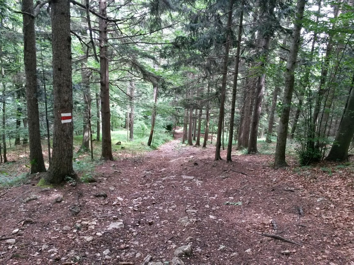 lh5.googleusercontent.com_-yu3kxc6i_eo_u4cijzira6i_aaaaaaaayha_09tf-uc8thg_w1155-h866-no_20140529_123312_richtone_2528hdr_2529.jpg lh5.googleusercontent.com_-yu3kxc6i_eo_u4cijzira6i_aaaaaaaayha_09tf-uc8thg_w1155-h866-no_20140529_123312_richtone_2528hdr_2529.jpg