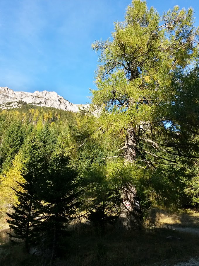 lh6.googleusercontent.com_-w80n9wfzrve_viuk66mt3ki_aaaaaaaaog8_rhhxuuk7oyg_w680-h907-no_20151024_152103_richtone_2528hdr_2529.jpg lh6.googleusercontent.com_-w80n9wfzrve_viuk66mt3ki_aaaaaaaaog8_rhhxuuk7oyg_w680-h907-no_20151024_152103_richtone_2528hdr_2529.jpg