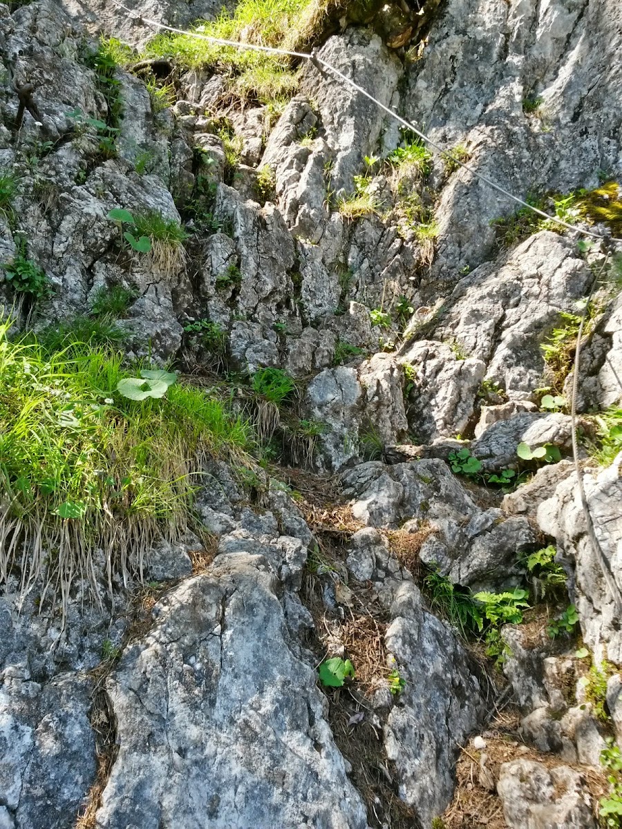 lh4.googleusercontent.com_-zsiqpx4so-a_u5cuzpj1bqi_aaaaaaaazpg_cvuhyn13swy_w900-h1200-no_20140610_102257_richtone_2528hdr_2529.jpg lh4.googleusercontent.com_-zsiqpx4so-a_u5cuzpj1bqi_aaaaaaaazpg_cvuhyn13swy_w900-h1200-no_20140610_102257_richtone_2528hdr_2529.jpg