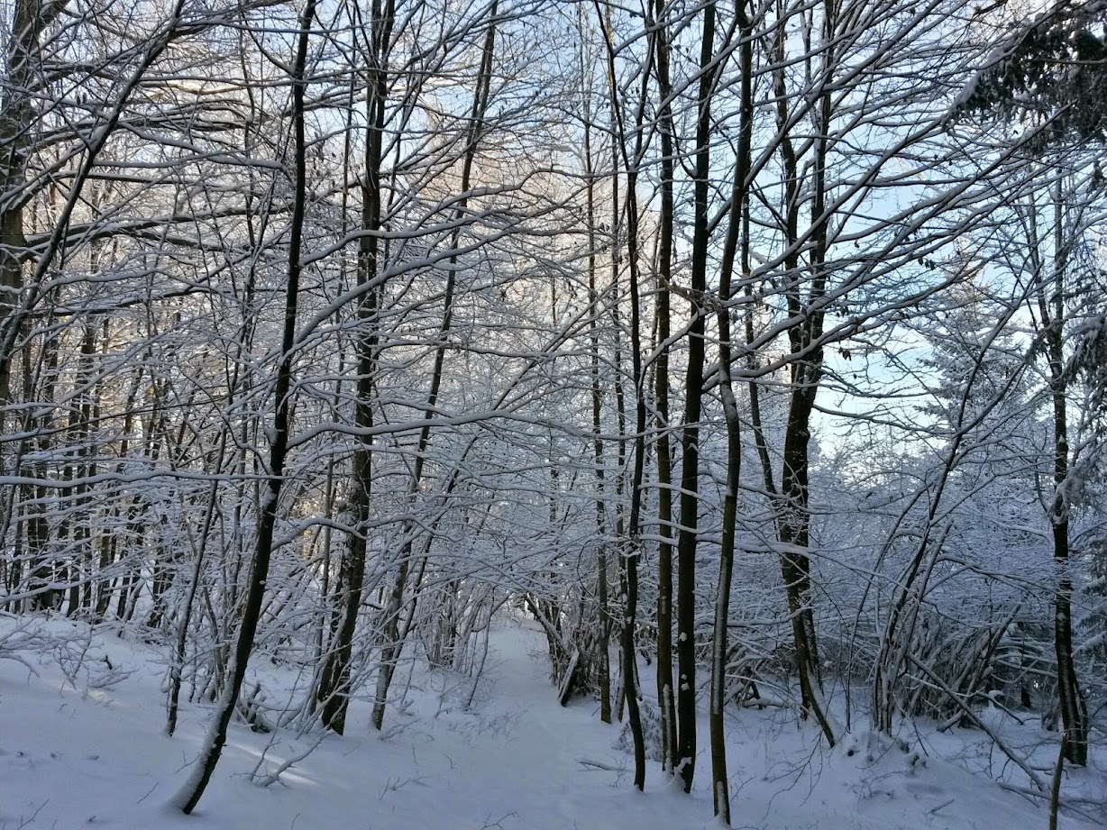 lh6.googleusercontent.com_-kcnmjfr8g9g_vj62hvl3x5i_aaaaaaaagwg_z5cnrqcewpk_w1228-h921-no_20141227_101312_richtone_28hdr_29.jpg lh6.googleusercontent.com_-kcnmjfr8g9g_vj62hvl3x5i_aaaaaaaagwg_z5cnrqcewpk_w1228-h921-no_20141227_101312_richtone_28hdr_29.jpg