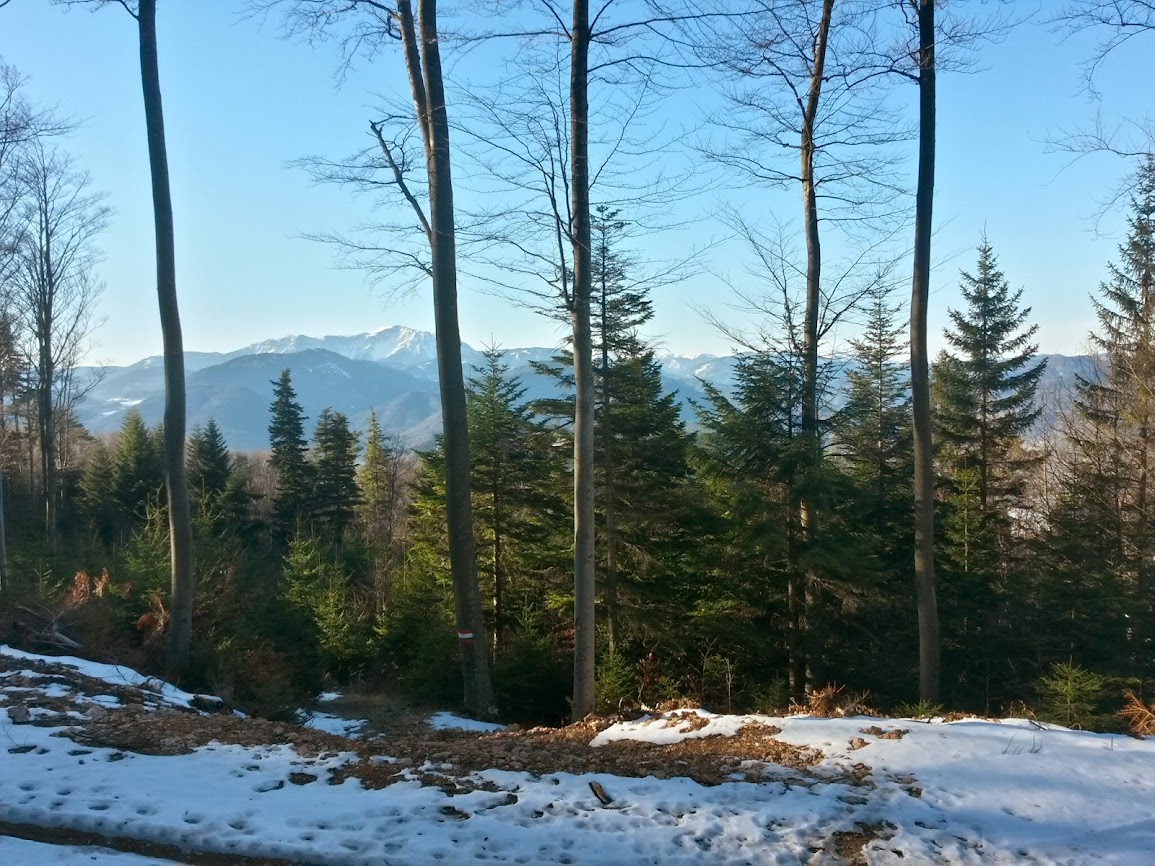 lh4.googleusercontent.com_-8lrrgwf6ipm_urmj3evym4i_aaaaaaaat1a_idalyoh5oya_w1155-h866-no_20131224_103415_richtone_2528hdr_2529.jpg lh4.googleusercontent.com_-8lrrgwf6ipm_urmj3evym4i_aaaaaaaat1a_idalyoh5oya_w1155-h866-no_20131224_103415_richtone_2528hdr_2529.jpg