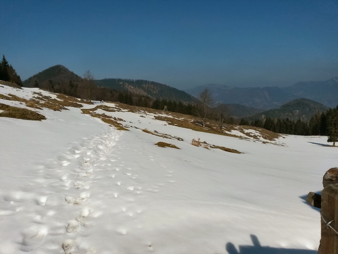 lh6.googleusercontent.com_-qc4lujikoj8_uxstbl8_i5i_aaaaaaaavq0_luo1wo2d_gs_w1155-h866-no_20140308_123045_richtone_2528hdr_2529.jpg lh6.googleusercontent.com_-qc4lujikoj8_uxstbl8_i5i_aaaaaaaavq0_luo1wo2d_gs_w1155-h866-no_20140308_123045_richtone_2528hdr_2529.jpg