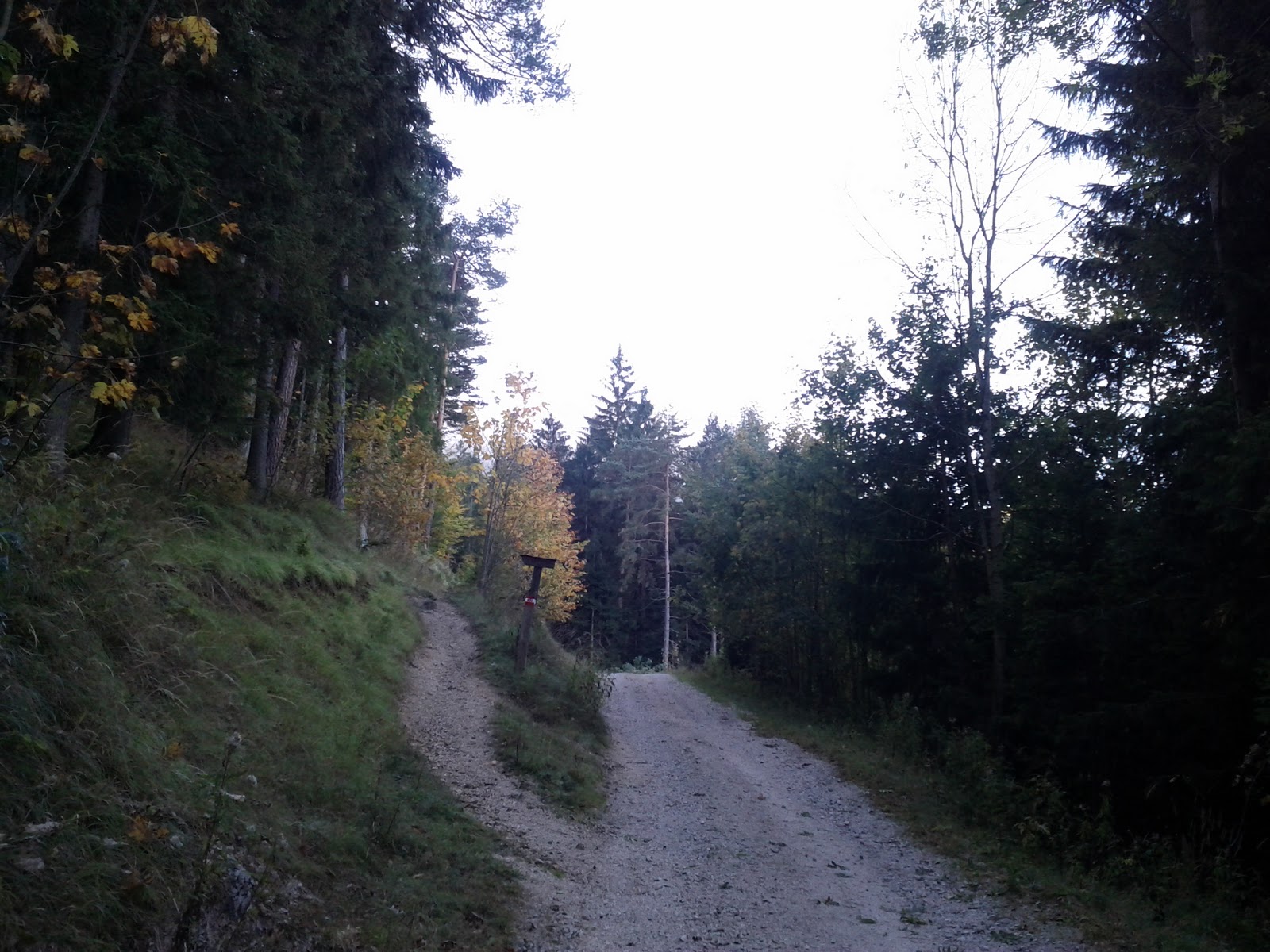 lh5.googleusercontent.com_-tpjnnbx4xjc_tpk4camm8yi_aaaaaaaaa60_bnblsrhk-vm_w1600-h1200-no_img_20111015_085526.jpg lh5.googleusercontent.com_-tpjnnbx4xjc_tpk4camm8yi_aaaaaaaaa60_bnblsrhk-vm_w1600-h1200-no_img_20111015_085526.jpg