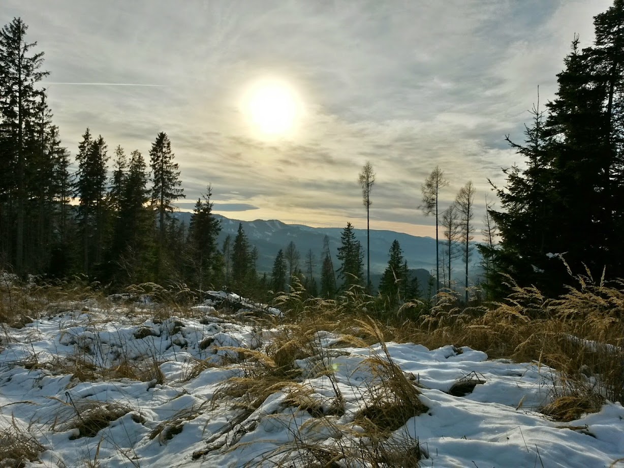 lh3.googleusercontent.com_-8f8xssfbx90_vixv_3bxqji_aaaaaaaaf7i_elwe6yxdey4_w1228-h921-no_20141213_135831_richtone_28hdr_29.jpg lh3.googleusercontent.com_-8f8xssfbx90_vixv_3bxqji_aaaaaaaaf7i_elwe6yxdey4_w1228-h921-no_20141213_135831_richtone_28hdr_29.jpg