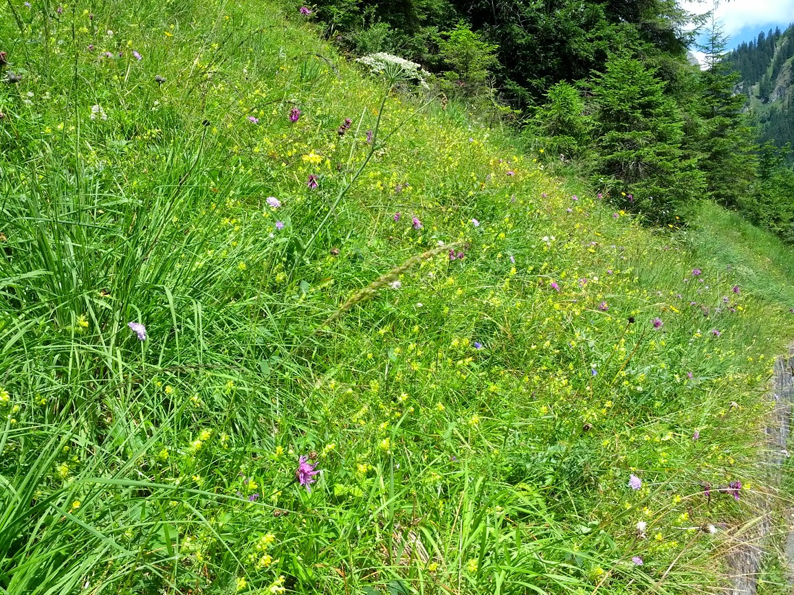 lh5.googleusercontent.com_-_pkkb0g-6t4_ufesbhogbci_aaaaaaaapai_xrcojpplhpe_w1155-h866-no_img_20130730_132412.jpg lh5.googleusercontent.com_-_pkkb0g-6t4_ufesbhogbci_aaaaaaaapai_xrcojpplhpe_w1155-h866-no_img_20130730_132412.jpg