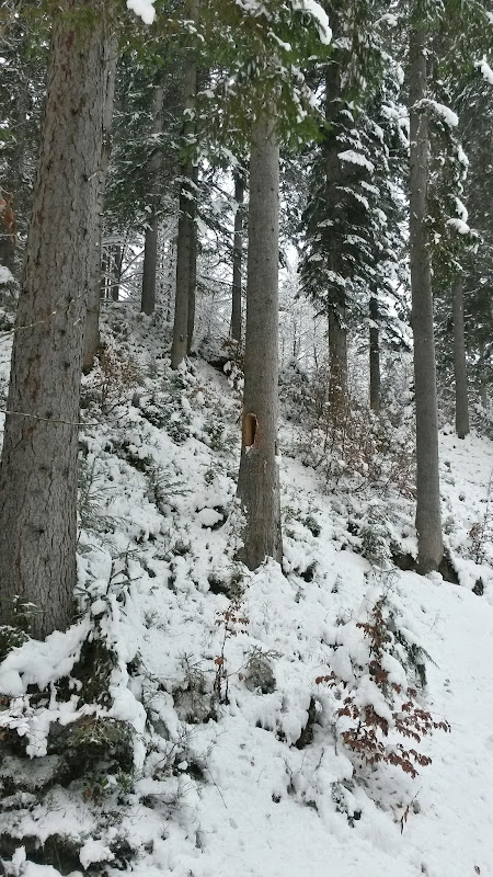 lh4.googleusercontent.com_-xkp0ksxg2js_uqcvhqfsjai_aaaaaaaatry_c6bn600yqs4_w450-h800-no_20131205_095649_richtone_2528hdr_2529.jpg lh4.googleusercontent.com_-xkp0ksxg2js_uqcvhqfsjai_aaaaaaaatry_c6bn600yqs4_w450-h800-no_20131205_095649_richtone_2528hdr_2529.jpg