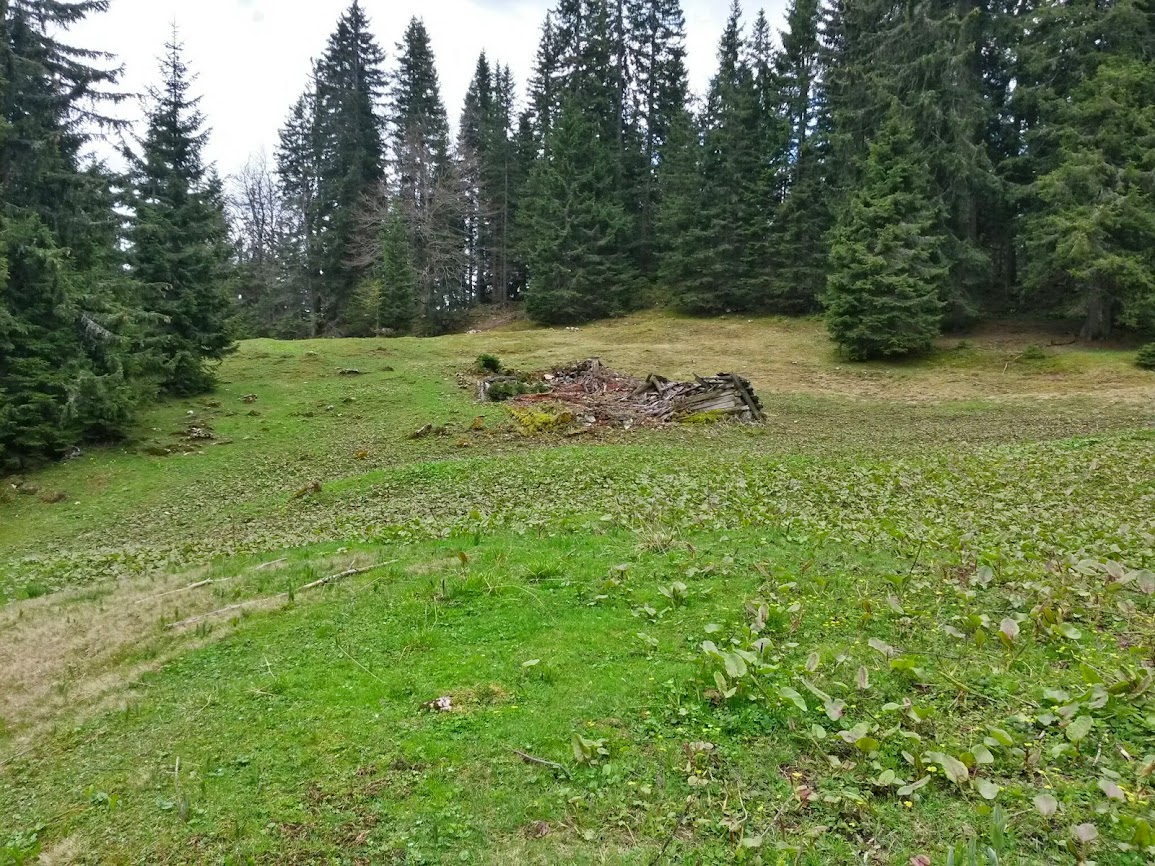 lh5.googleusercontent.com_-yz8jfg-lah0_u25b4tjj9ni_aaaaaaaaxso_0a-yobhc6hg_w1155-h866-no_20140510_123753_richtone_2528hdr_2529.jpg lh5.googleusercontent.com_-yz8jfg-lah0_u25b4tjj9ni_aaaaaaaaxso_0a-yobhc6hg_w1155-h866-no_20140510_123753_richtone_2528hdr_2529.jpg