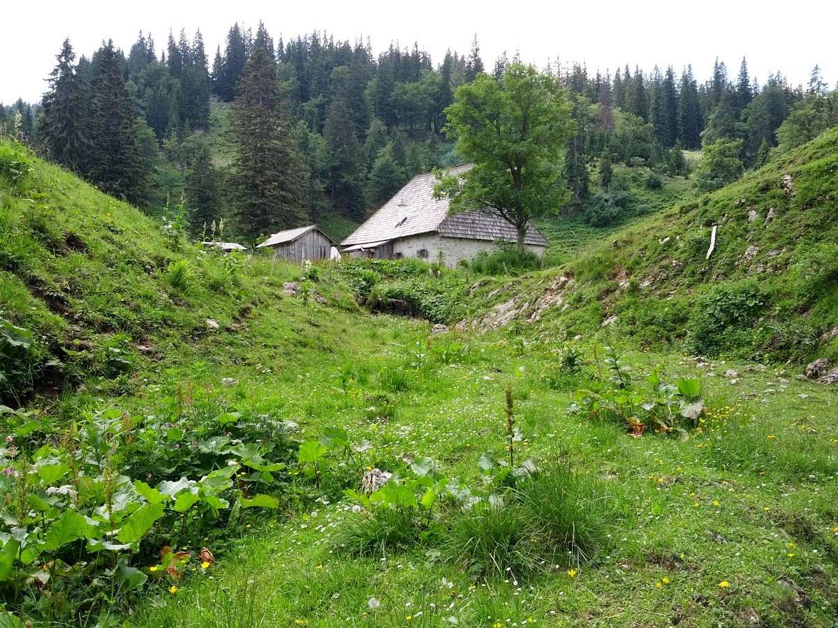 lh5.googleusercontent.com_-wblt4vso-3g_uefh7hsvvki_aaaaaaaaoay_t89qqyexg-m_w1200-h900-no_img_20130713_121354.jpg lh5.googleusercontent.com_-wblt4vso-3g_uefh7hsvvki_aaaaaaaaoay_t89qqyexg-m_w1200-h900-no_img_20130713_121354.jpg