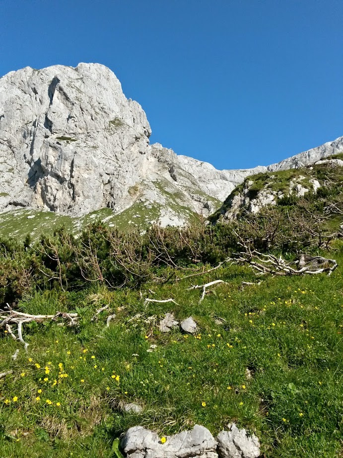 lh5.googleusercontent.com_-mmftt-tkzk4_u8qco_hcoii_aaaaaaaabmc_ub3kduvb0do_w691-h921-no_20140719_085002_richtone_2528hdr_2529.jpg lh5.googleusercontent.com_-mmftt-tkzk4_u8qco_hcoii_aaaaaaaabmc_ub3kduvb0do_w691-h921-no_20140719_085002_richtone_2528hdr_2529.jpg