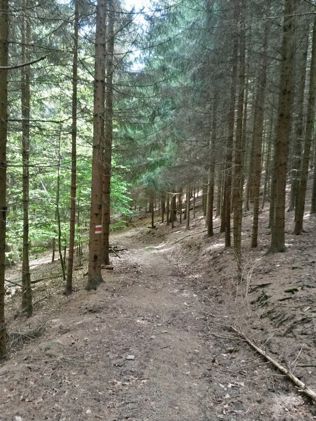 lh4.googleusercontent.com_-r9zxpehbncs_u2zsjlo5ori_aaaaaaaaxdk_uzebrdsj3y8_w650-h866-no_20140504_140156_richtone_2528hdr_2529.jpg lh4.googleusercontent.com_-r9zxpehbncs_u2zsjlo5ori_aaaaaaaaxdk_uzebrdsj3y8_w650-h866-no_20140504_140156_richtone_2528hdr_2529.jpg