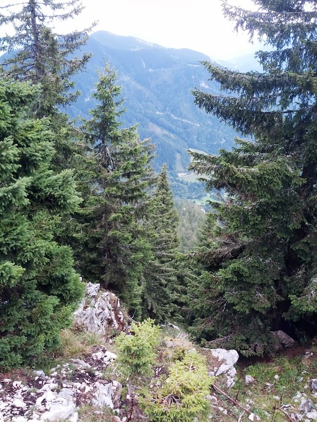 lh3.googleusercontent.com_-ezacejl6tns_ujsw4jxgmsi_aaaaaaaaqva_fcseu068yec_w650-h866-no_img_20130914_130225.jpg lh3.googleusercontent.com_-ezacejl6tns_ujsw4jxgmsi_aaaaaaaaqva_fcseu068yec_w650-h866-no_img_20130914_130225.jpg