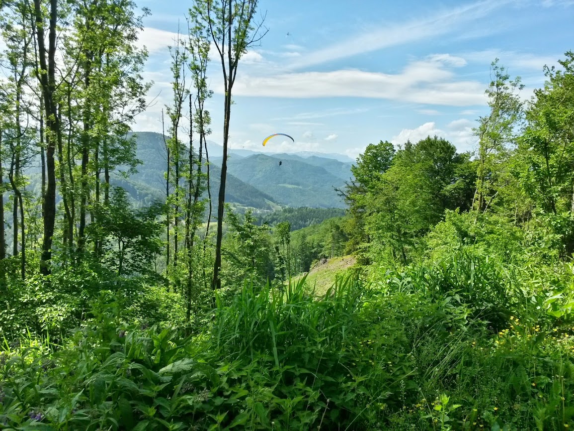 lh3.googleusercontent.com_-vwusndkqpko_u4chgijpy2i_aaaaaaaayq8_cpzx4ox8tre_w1155-h866-no_20140524_100535_richtone_2528hdr_2529.jpg lh3.googleusercontent.com_-vwusndkqpko_u4chgijpy2i_aaaaaaaayq8_cpzx4ox8tre_w1155-h866-no_20140524_100535_richtone_2528hdr_2529.jpg