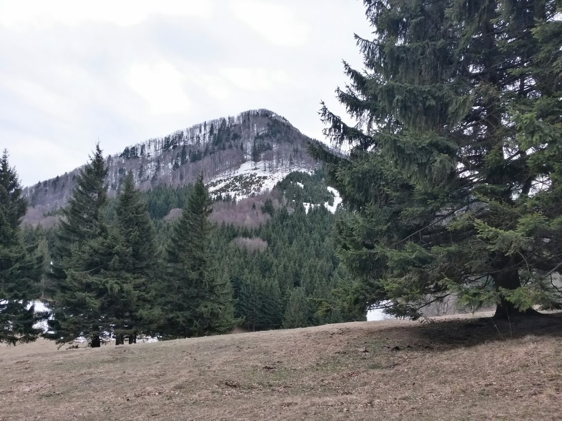 lh3.googleusercontent.com_-7ronlt_uklg_uv_ddnk8rvi_aaaaaaaavn0_d_a_kwo3jg0_w1155-h866-no_20140215_111622_richtone_2528hdr_2529.jpg lh3.googleusercontent.com_-7ronlt_uklg_uv_ddnk8rvi_aaaaaaaavn0_d_a_kwo3jg0_w1155-h866-no_20140215_111622_richtone_2528hdr_2529.jpg