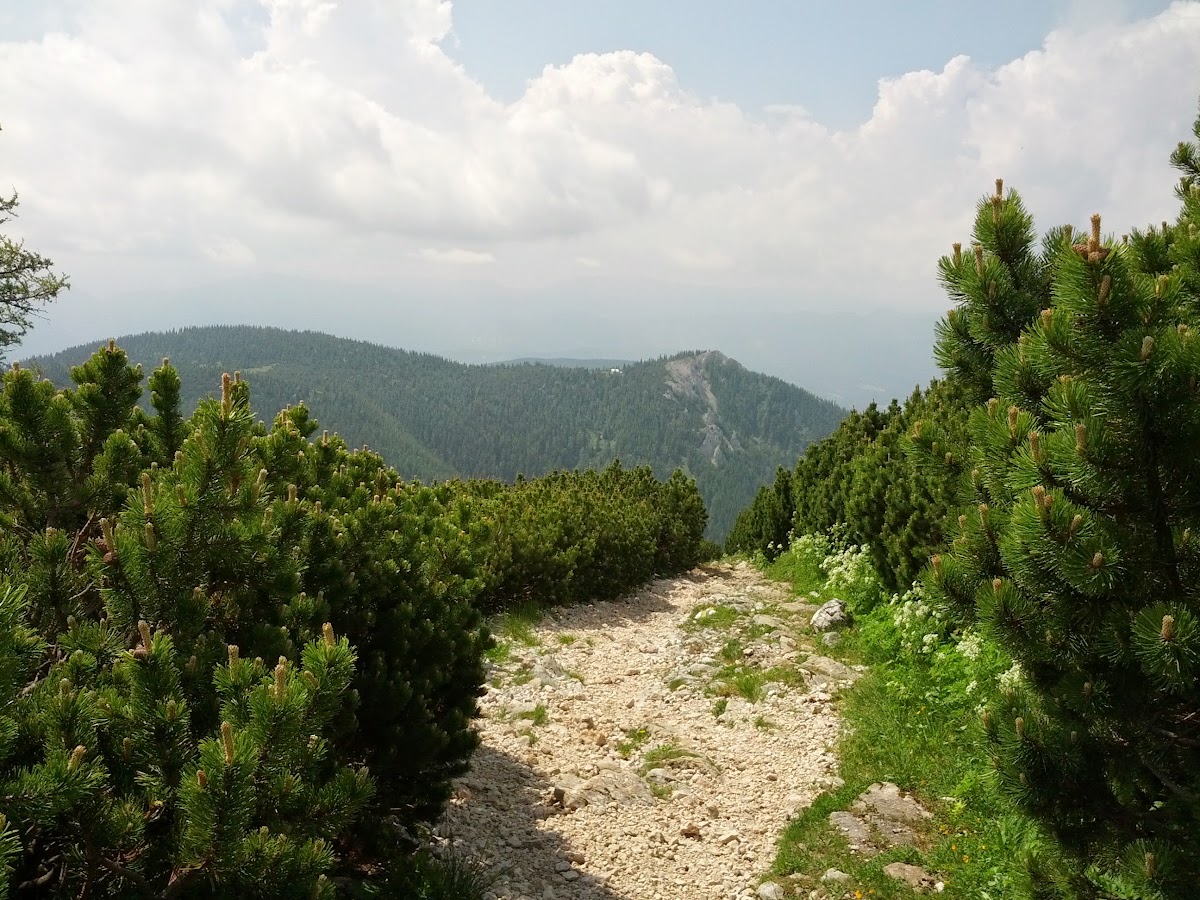 lh6.googleusercontent.com_-yfjxulzv1lo_ucwrdmusrki_aaaaaaaan9m_kslxb6rnuxa_w1200-h900-no_img_20130622_111706.jpg lh6.googleusercontent.com_-yfjxulzv1lo_ucwrdmusrki_aaaaaaaan9m_kslxb6rnuxa_w1200-h900-no_img_20130622_111706.jpg