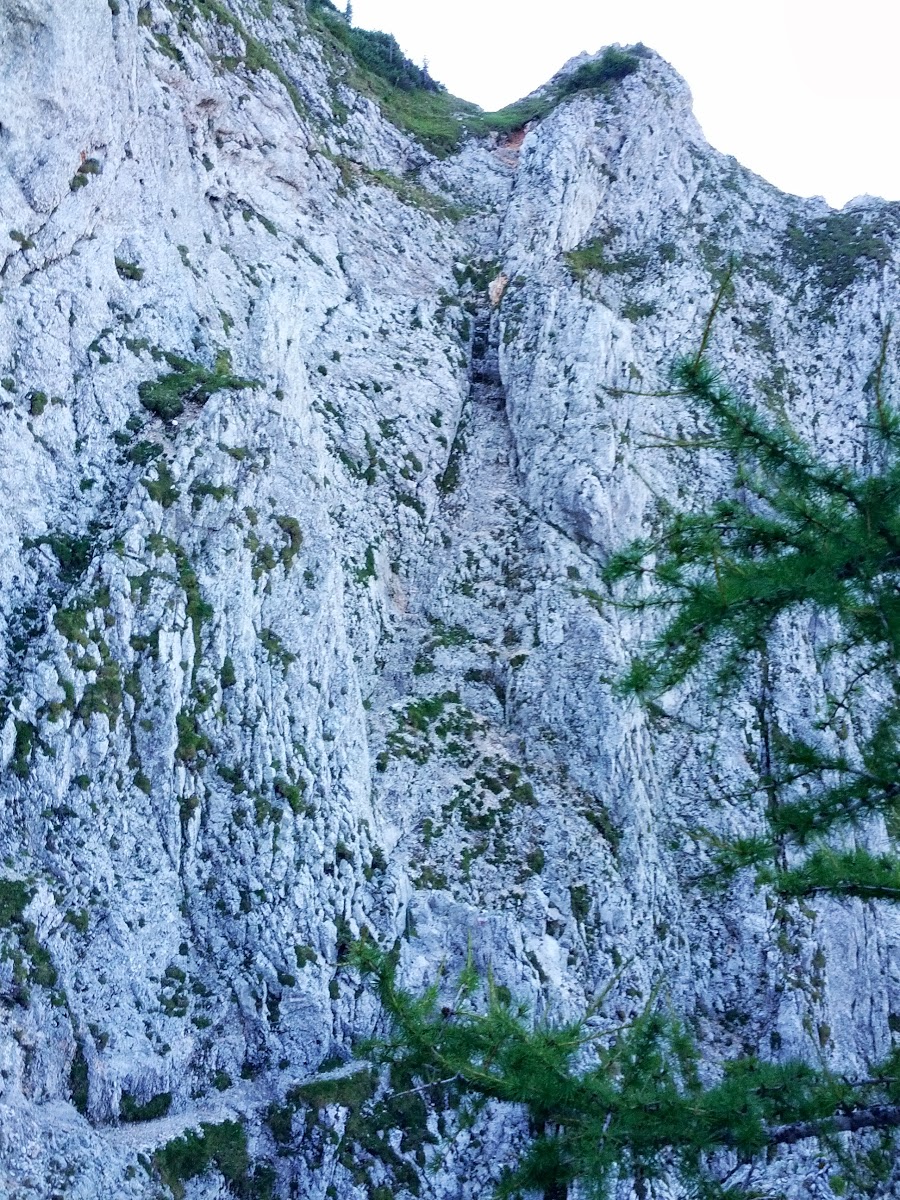 lh6.googleusercontent.com_-ba7hnoeen94_ug-hlbbr2hi_aaaaaaaaprq_trjen1bpndc_w900-h1200-no_img_20130817_094448.jpg lh6.googleusercontent.com_-ba7hnoeen94_ug-hlbbr2hi_aaaaaaaaprq_trjen1bpndc_w900-h1200-no_img_20130817_094448.jpg