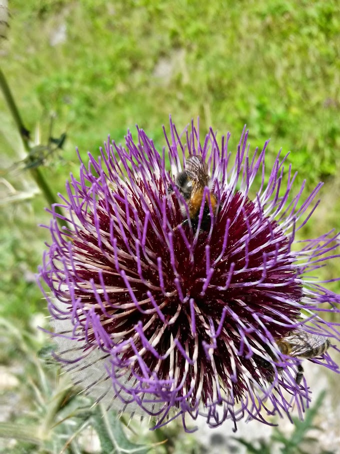 lh6.googleusercontent.com_-j-uaujfkqku_vbzfcunhg1i_aaaaaaaam_e_dq4deos1_a0_w680-h907-no_20150801_123012_richtone_2528hdr_2529.jpg lh6.googleusercontent.com_-j-uaujfkqku_vbzfcunhg1i_aaaaaaaam_e_dq4deos1_a0_w680-h907-no_20150801_123012_richtone_2528hdr_2529.jpg