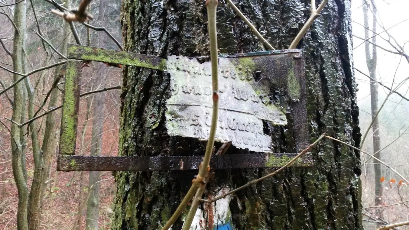 lh4.googleusercontent.com_-slxlgond-2e_upcro1dlnri_aaaaaaaasg0_s6_5oxitv6m_w1353-h761-no_20131123_093909.jpg lh4.googleusercontent.com_-slxlgond-2e_upcro1dlnri_aaaaaaaasg0_s6_5oxitv6m_w1353-h761-no_20131123_093909.jpg