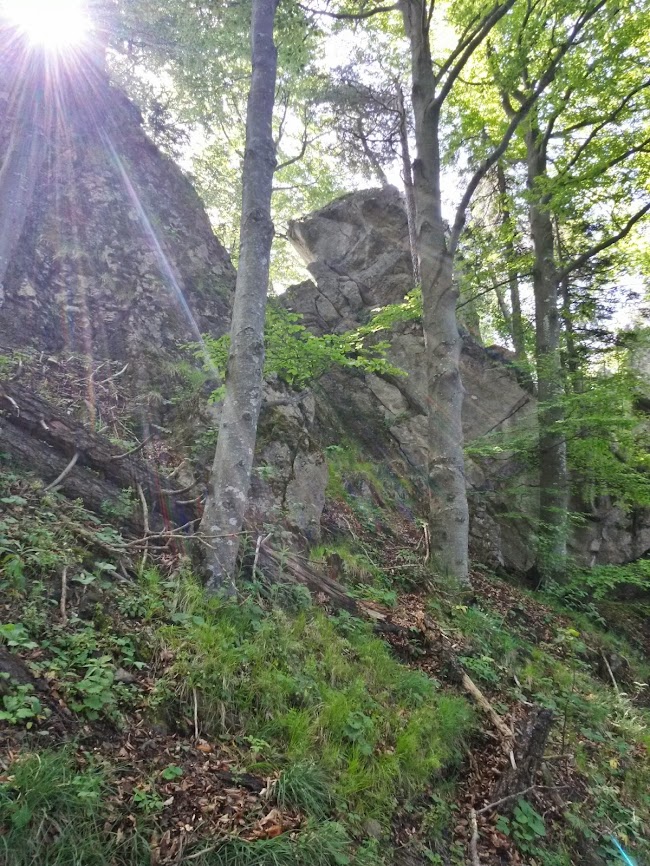 lh6.googleusercontent.com_-_iisysgspsc_u4chm1meili_aaaaaaaayru_mcgeijjoeu_w650-h866-no_20140524_101104_richtone_2528hdr_2529.jpg lh6.googleusercontent.com_-_iisysgspsc_u4chm1meili_aaaaaaaayru_mcgeijjoeu_w650-h866-no_20140524_101104_richtone_2528hdr_2529.jpg