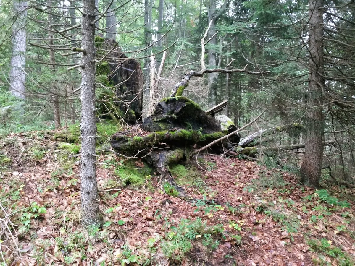 lh5.googleusercontent.com_-2-pasfjffjk_var_tt3ktsi_aaaaaaaacbm_pldf-yu6gam_w1200-h900-no_20140906_092355_richtone_28hdr_29.jpg lh5.googleusercontent.com_-2-pasfjffjk_var_tt3ktsi_aaaaaaaacbm_pldf-yu6gam_w1200-h900-no_20140906_092355_richtone_28hdr_29.jpg