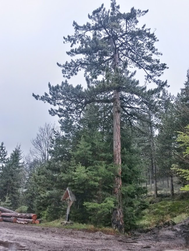 lh4.googleusercontent.com_-ohv4jozwjeu_u1u89uaoszi_aaaaaaaaxky_jvo2tdxcmss_w650-h866-no_20140426_124147_richtone_2528hdr_2529.jpg lh4.googleusercontent.com_-ohv4jozwjeu_u1u89uaoszi_aaaaaaaaxky_jvo2tdxcmss_w650-h866-no_20140426_124147_richtone_2528hdr_2529.jpg