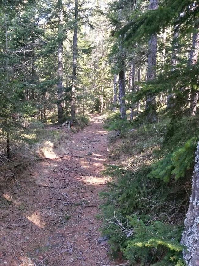 lh5.googleusercontent.com_-u7cylsw1fzs_uzbpdtsfnbi_aaaaaaaawgy_z1peeadrrgc_w650-h866-no_20140329_094535_richtone_2528hdr_2529.jpg lh5.googleusercontent.com_-u7cylsw1fzs_uzbpdtsfnbi_aaaaaaaawgy_z1peeadrrgc_w650-h866-no_20140329_094535_richtone_2528hdr_2529.jpg