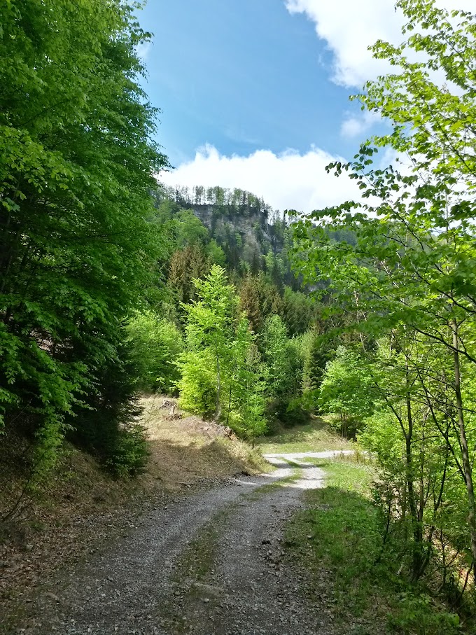 lh4.googleusercontent.com_--hqeqyqzaeu_vvdeia_39ti_aaaaaaaajky_dys-8qkan6q_w680-h907-no_20150516_132113_richtone_2528hdr_2529.jpg lh4.googleusercontent.com_--hqeqyqzaeu_vvdeia_39ti_aaaaaaaajky_dys-8qkan6q_w680-h907-no_20150516_132113_richtone_2528hdr_2529.jpg