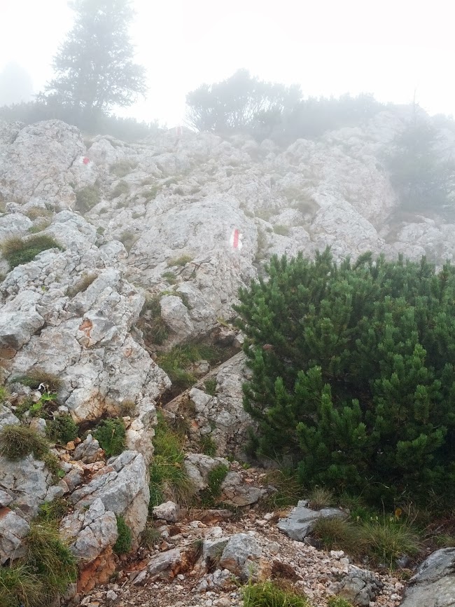 lh4.googleusercontent.com_-a2s32kdzf1u_uhjnh1cgfei_aaaaaaaap28_zdjlkpo7tbe_w650-h866-no_img_20130824_115705.jpg lh4.googleusercontent.com_-a2s32kdzf1u_uhjnh1cgfei_aaaaaaaap28_zdjlkpo7tbe_w650-h866-no_img_20130824_115705.jpg