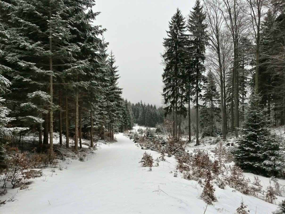 lh3.googleusercontent.com_-pkue0akdby0_vmot9l_qyki_aaaaaaaahfk_veshtysg_0o_w1209-h907-no_20150124_104353_richtone_28hdr_29.jpg lh3.googleusercontent.com_-pkue0akdby0_vmot9l_qyki_aaaaaaaahfk_veshtysg_0o_w1209-h907-no_20150124_104353_richtone_28hdr_29.jpg