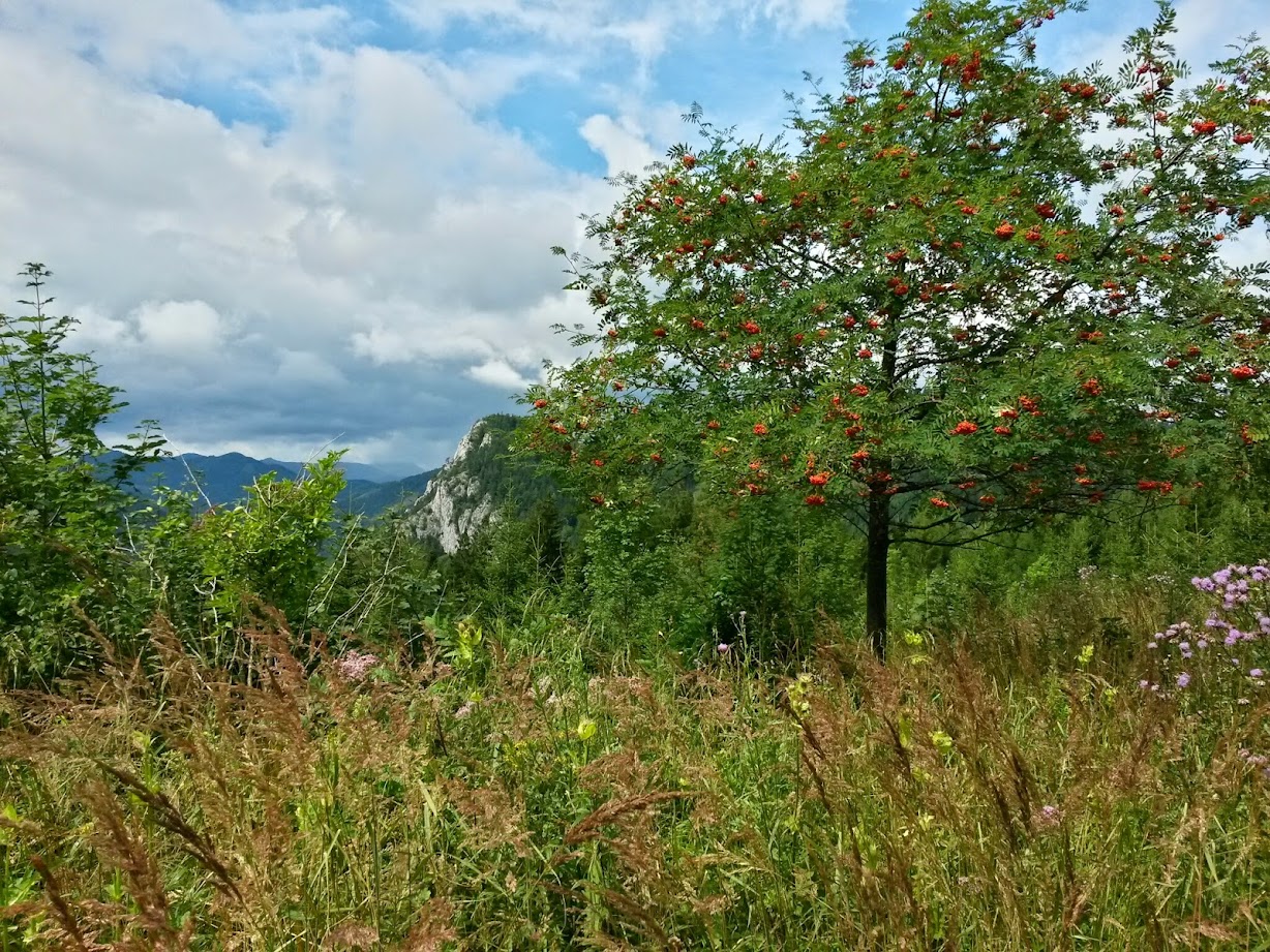 lh5.googleusercontent.com_-eab7skd3k2c_u-97g1hskxi_aaaaaaaaccs_9fflsjs-iww_w1228-h921-no_20140816_135446_richtone_28hdr_29.jpg lh5.googleusercontent.com_-eab7skd3k2c_u-97g1hskxi_aaaaaaaaccs_9fflsjs-iww_w1228-h921-no_20140816_135446_richtone_28hdr_29.jpg