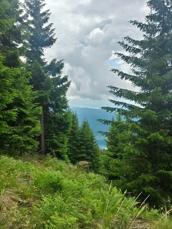 lh5.googleusercontent.com_-ewustahlil0_vyvffdrnj6i_aaaaaaaak6c_zp-b1hkyqf8_w600-h800-no_20150620_105642_richtone_2528hdr_2529.jpg lh5.googleusercontent.com_-ewustahlil0_vyvffdrnj6i_aaaaaaaak6c_zp-b1hkyqf8_w600-h800-no_20150620_105642_richtone_2528hdr_2529.jpg