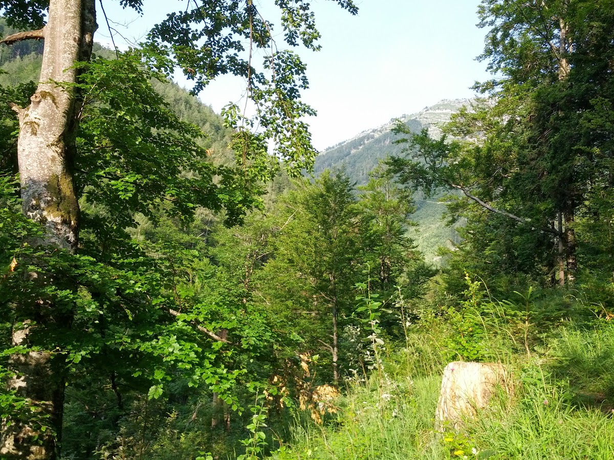 lh4.googleusercontent.com_-xgxmm1jxplc_uefbrfdndki_aaaaaaaaoug_fsqt46paqgs_w1200-h900-no_img_20130713_073008.jpg lh4.googleusercontent.com_-xgxmm1jxplc_uefbrfdndki_aaaaaaaaoug_fsqt46paqgs_w1200-h900-no_img_20130713_073008.jpg