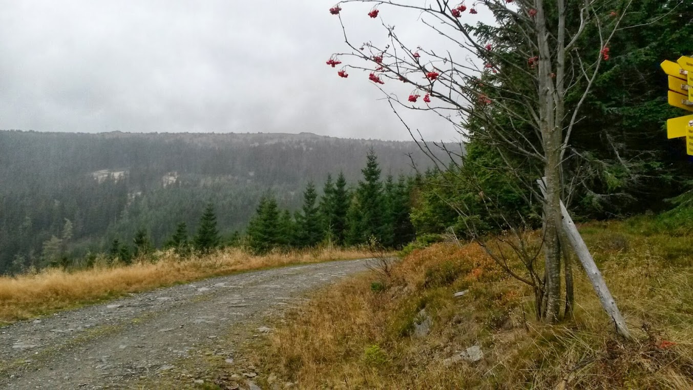 lh6.googleusercontent.com_-yjcf-05vzb4_ullk_ghj_wi_aaaaaaaaq-y_djyqcq5ofaw_w1353-h761-no_20131012_093821.jpg lh6.googleusercontent.com_-yjcf-05vzb4_ullk_ghj_wi_aaaaaaaaq-y_djyqcq5ofaw_w1353-h761-no_20131012_093821.jpg