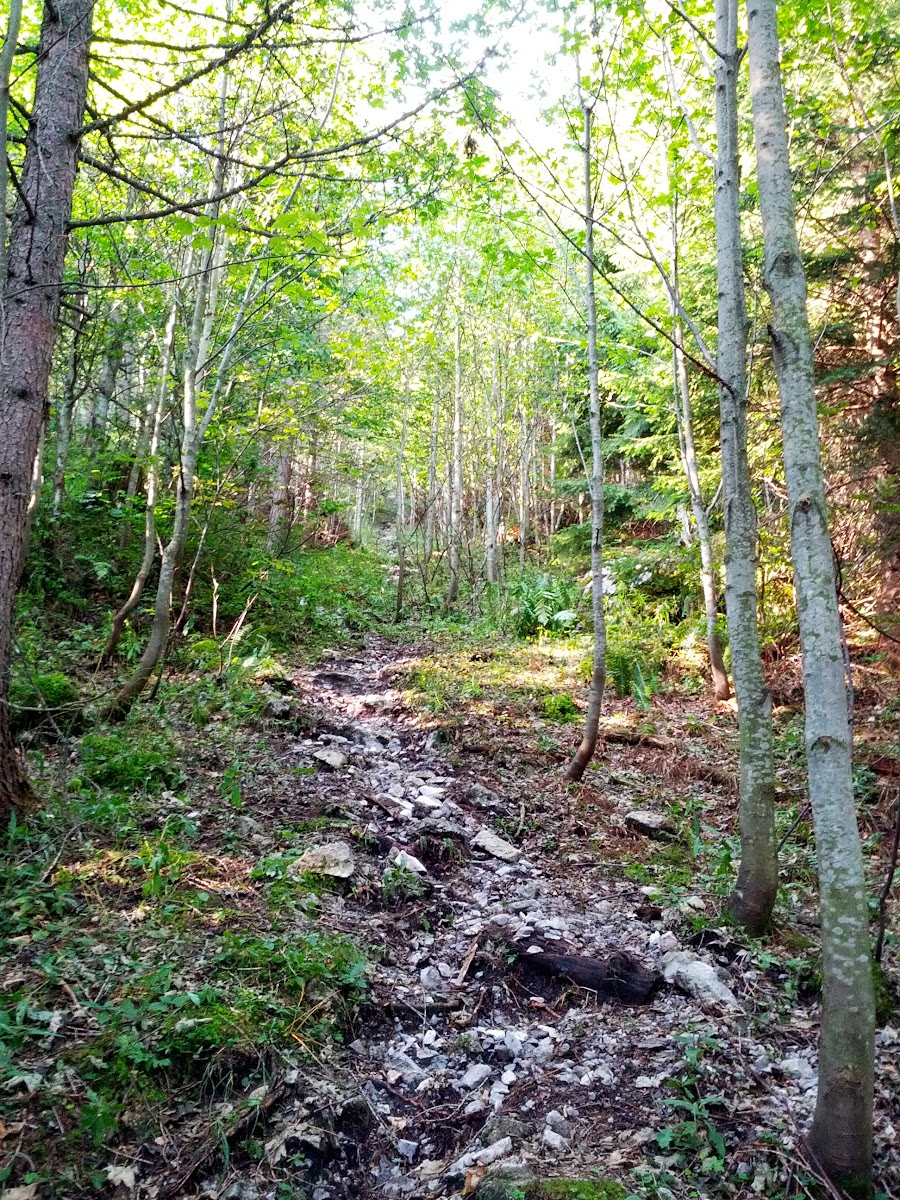 lh4.googleusercontent.com_-wfi_uj9uzr8_uiilswfifyi_aaaaaaaap8s_l7ru-t-xtnw_w900-h1200-no_img_20130831_090724.jpg lh4.googleusercontent.com_-wfi_uj9uzr8_uiilswfifyi_aaaaaaaap8s_l7ru-t-xtnw_w900-h1200-no_img_20130831_090724.jpg