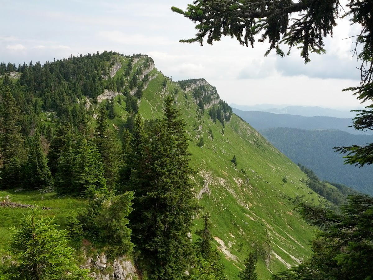 lh6.googleusercontent.com_-j6g_ttu8yam_ueffuav8kii_aaaaaaaaoxm_cqve4thekcu_w1200-h900-no_img_20130713_094651.jpg lh6.googleusercontent.com_-j6g_ttu8yam_ueffuav8kii_aaaaaaaaoxm_cqve4thekcu_w1200-h900-no_img_20130713_094651.jpg