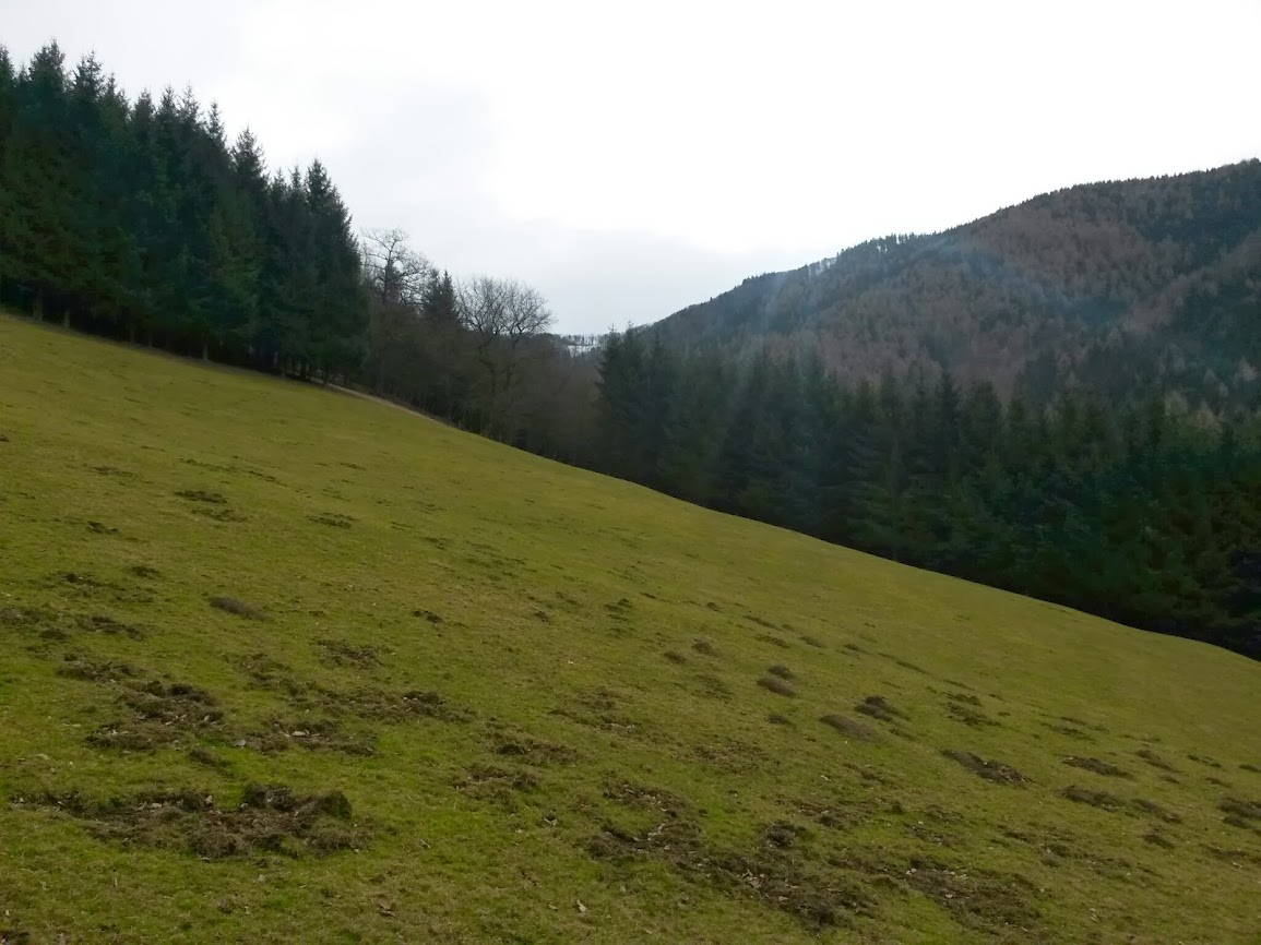 lh6.googleusercontent.com_-_k7iut-mm0a_uv_ckfeffoi_aaaaaaaavk0_2nu-5u6vqis_w1155-h866-no_20140215_100622.jpg lh6.googleusercontent.com_-_k7iut-mm0a_uv_ckfeffoi_aaaaaaaavk0_2nu-5u6vqis_w1155-h866-no_20140215_100622.jpg