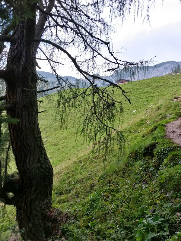 lh5.googleusercontent.com_-slrninqh6aa_vbgy_pukxpi_aaaaaaaadho_jpdbyptn4xc_w600-h800-no_20140911_104639_richtone_28hdr_29.jpg lh5.googleusercontent.com_-slrninqh6aa_vbgy_pukxpi_aaaaaaaadho_jpdbyptn4xc_w600-h800-no_20140911_104639_richtone_28hdr_29.jpg