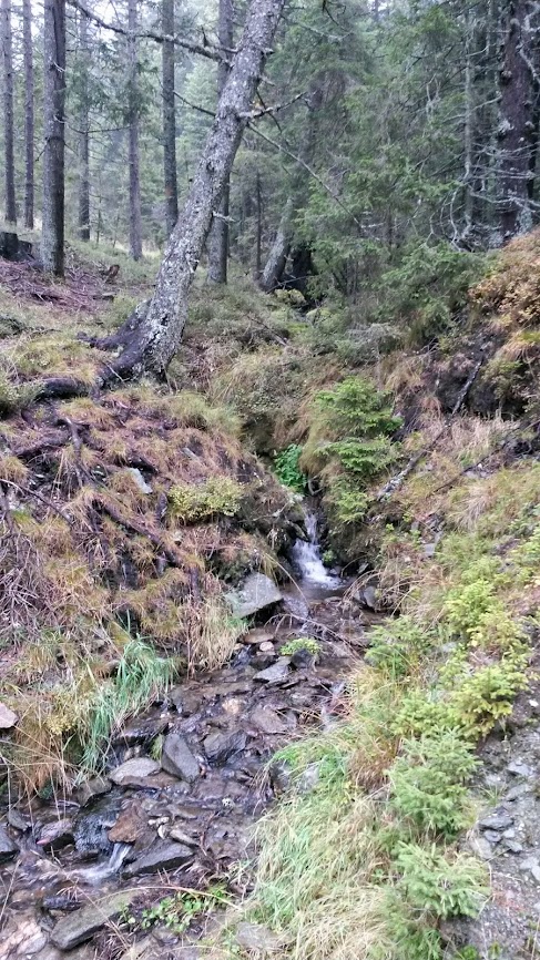 lh6.googleusercontent.com_-xjrmxazgpoa_ullml1efpfi_aaaaaaaarbw_nc94jjarvva_w487-h866-no_20131012_114015_richtone_2528hdr_2529.jpg lh6.googleusercontent.com_-xjrmxazgpoa_ullml1efpfi_aaaaaaaarbw_nc94jjarvva_w487-h866-no_20131012_114015_richtone_2528hdr_2529.jpg