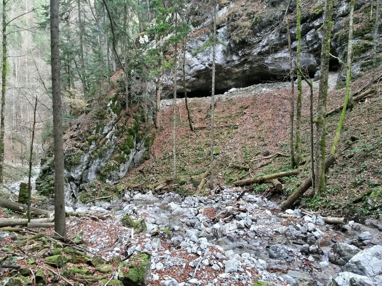 lh4.googleusercontent.com_-xekbgbxnwsa_vgdtyfqjxpi_aaaaaaaae-g_xojaaer_xds_w1228-h921-no_20141115_134138_richtone_28hdr_29.jpg lh4.googleusercontent.com_-xekbgbxnwsa_vgdtyfqjxpi_aaaaaaaae-g_xojaaer_xds_w1228-h921-no_20141115_134138_richtone_28hdr_29.jpg