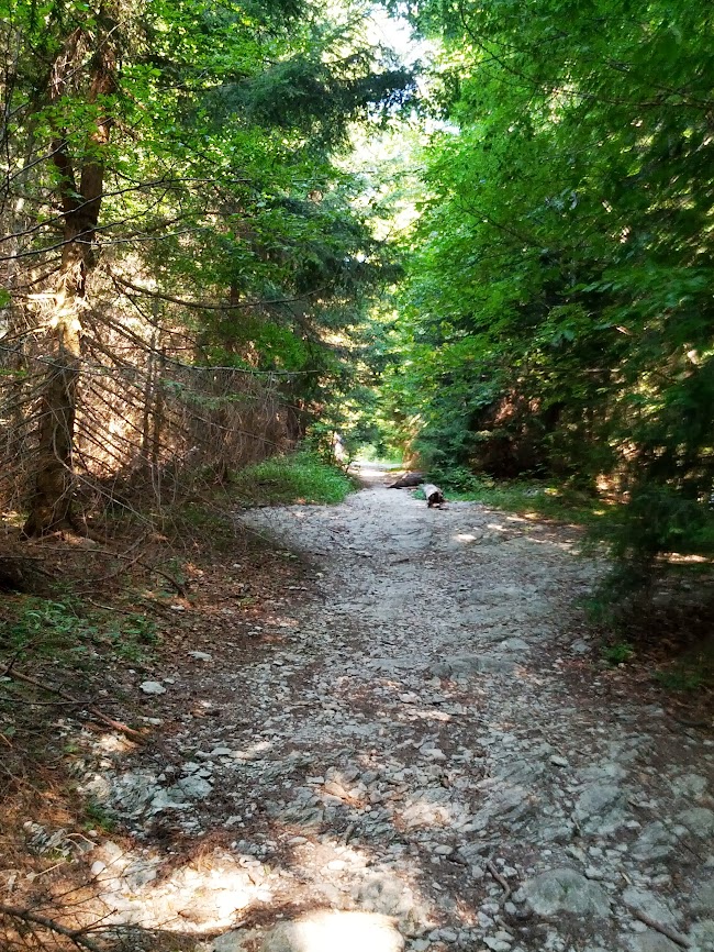 lh5.googleusercontent.com_-u2lhyzwzuyo_uhcztmdw7si_aaaaaaaapyq_msdivasxthk_w650-h866-no_img_20130818_093005.jpg lh5.googleusercontent.com_-u2lhyzwzuyo_uhcztmdw7si_aaaaaaaapyq_msdivasxthk_w650-h866-no_img_20130818_093005.jpg