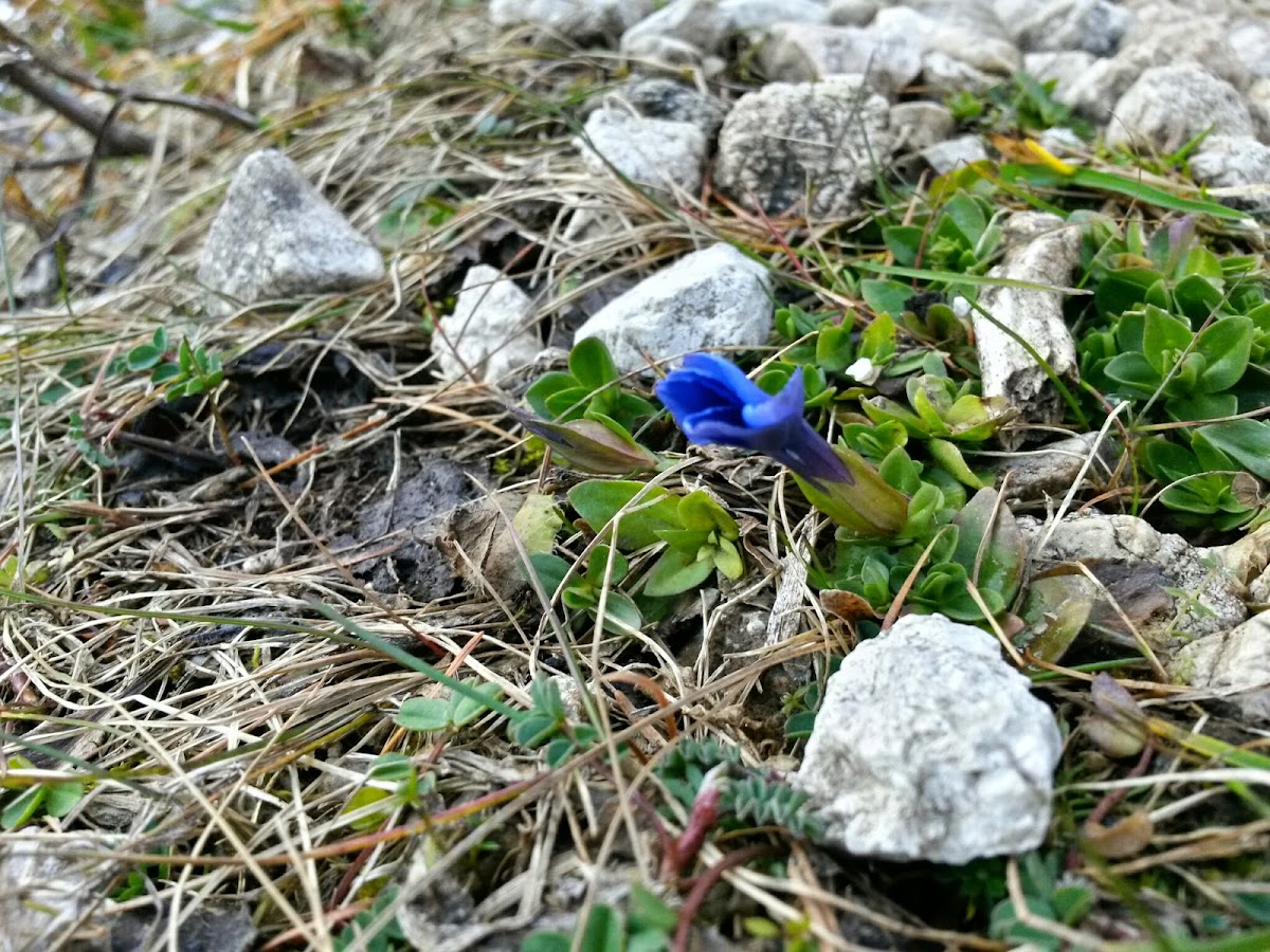 lh4.googleusercontent.com_-k7j56s63zeg_vhdpymr9jvi_aaaaaaaafhu_bb4qbbk7jp4_w1200-h900-no_20141127_120026_richtone_28hdr_29.jpg lh4.googleusercontent.com_-k7j56s63zeg_vhdpymr9jvi_aaaaaaaafhu_bb4qbbk7jp4_w1200-h900-no_20141127_120026_richtone_28hdr_29.jpg